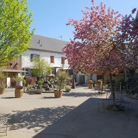 Schoene Wohnung Kleiner Onkel Auf Idyllischem Reiterhof Nahe Burg Eltz Münstermaifeld Exterior foto