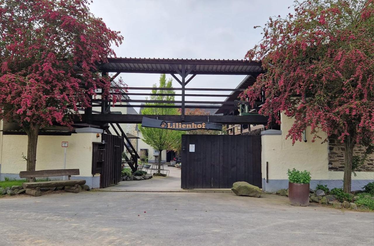 Schoene Wohnung Kleiner Onkel Auf Idyllischem Reiterhof Nahe Burg Eltz Münstermaifeld Exterior foto